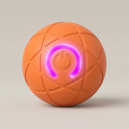 Interactive Rolling Ball Toy