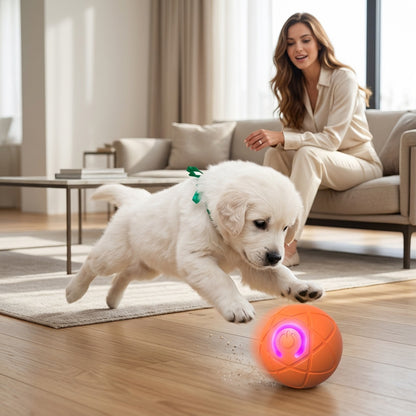 Interactive Rolling Ball Toy