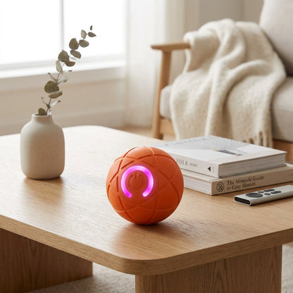 Interactive Rolling Ball Toy